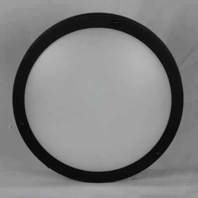 Ceiling Light Model #03